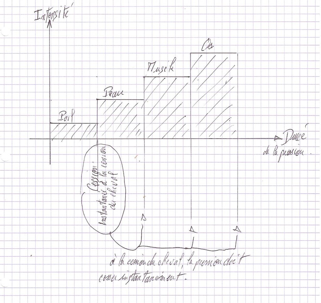 Intensité des pressions