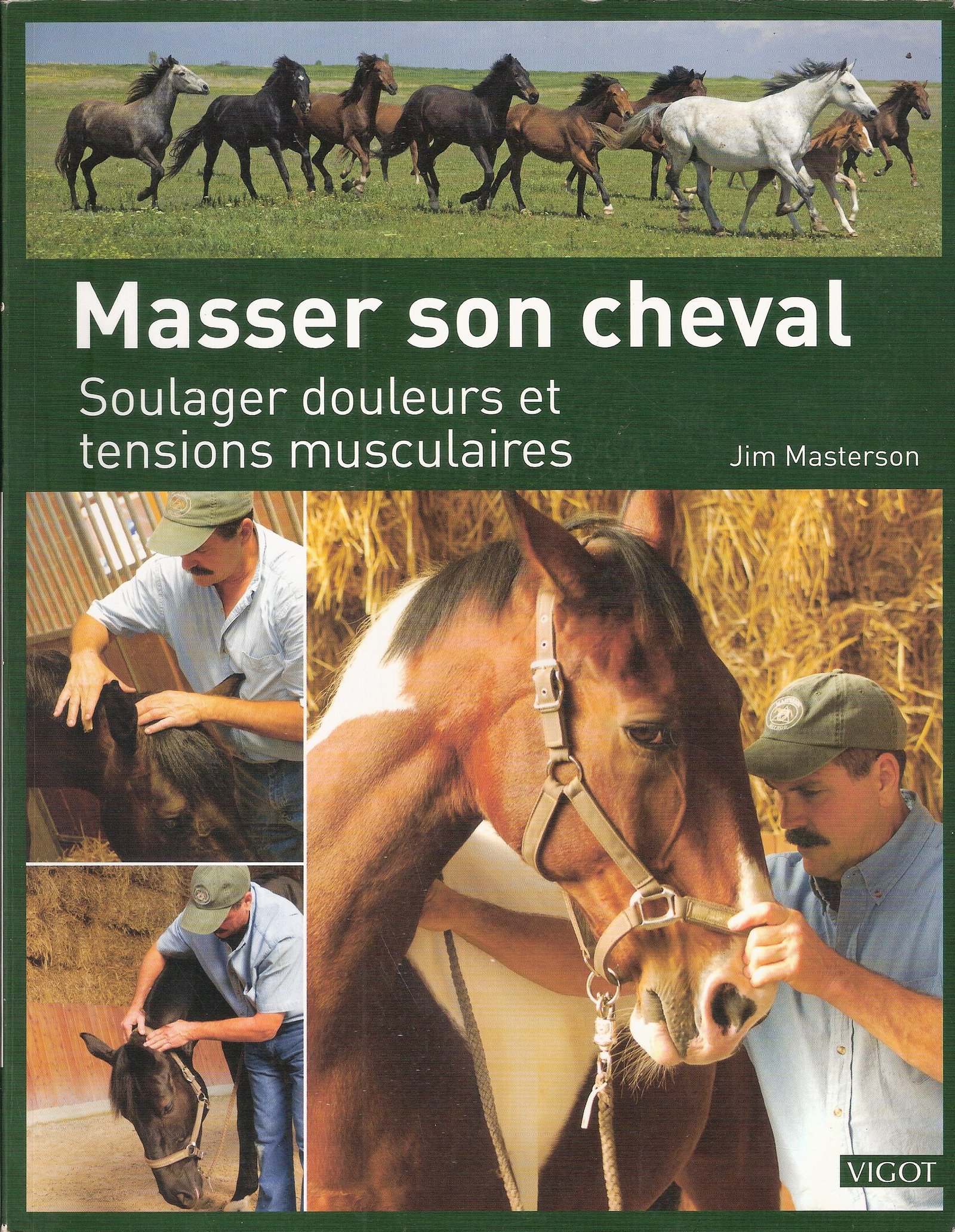 Couverture de  MASSER SON CHEVAL