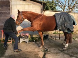 7 février : mobilisations